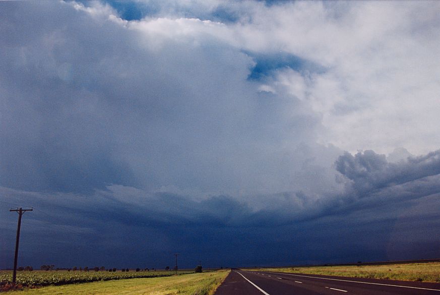 thunderstorm cumulonimbus_incus : N of Narrabri, NSW   27 December 2004