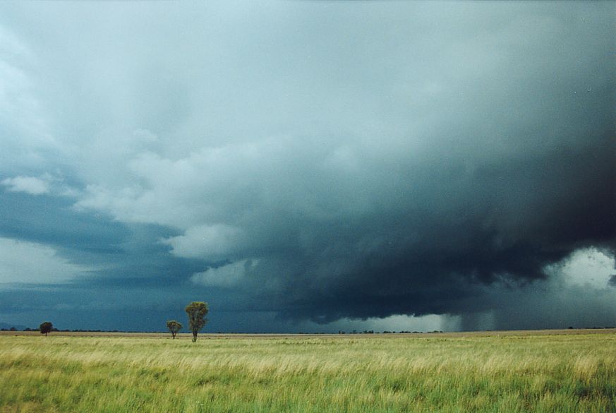 cumulonimbus thunderstorm_base : NE of Narrabri, NSW   27 December 2004