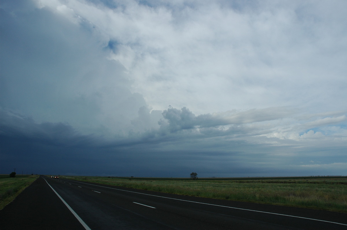 thunderstorm cumulonimbus_incus : N of Narrabri, NSW   27 December 2004