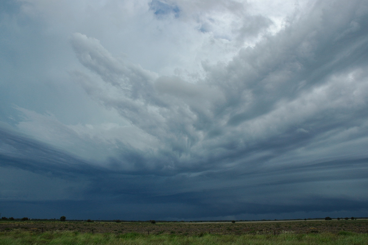 inflowband thunderstorm_inflow_band : N of Narrabri, NSW   27 December 2004