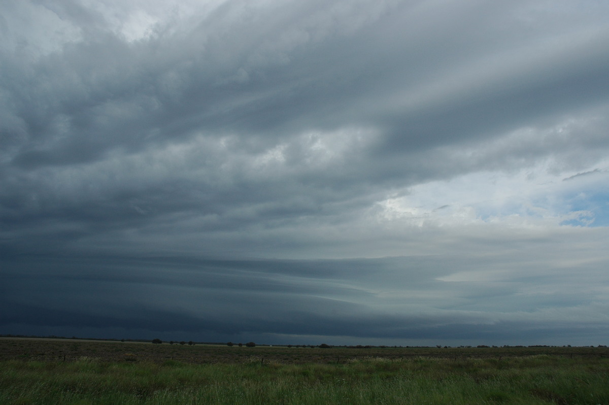 inflowband thunderstorm_inflow_band : N of Narrabri, NSW   27 December 2004