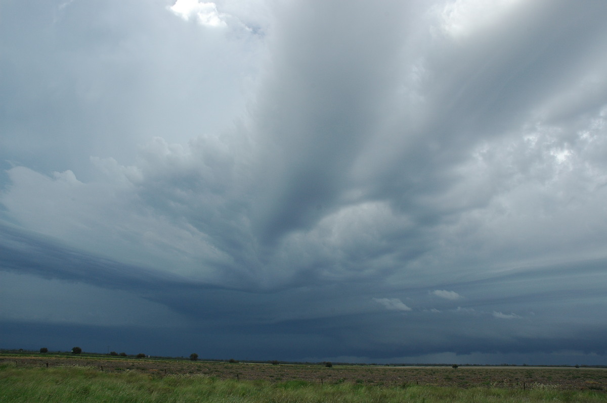 inflowband thunderstorm_inflow_band : N of Narrabri, NSW   27 December 2004