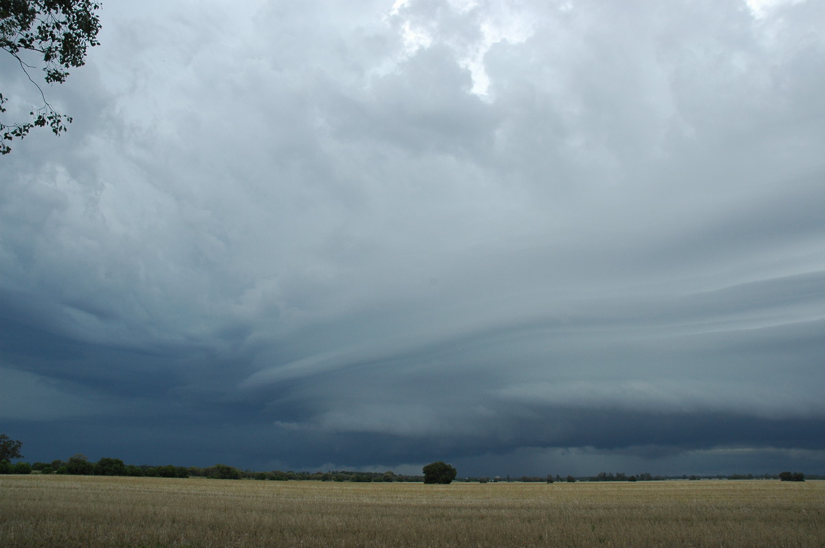 cumulonimbus thunderstorm_base : N of Narrabri, NSW   27 December 2004