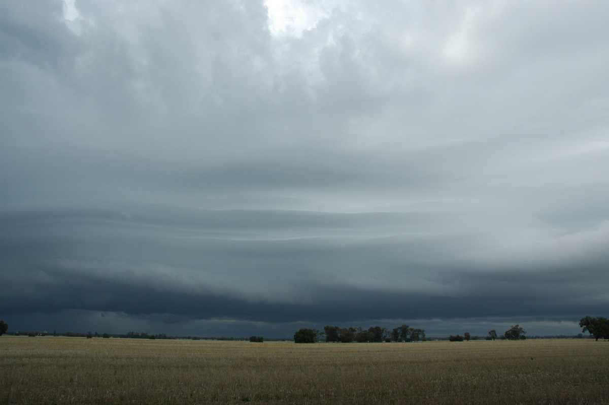 cumulonimbus supercell_thunderstorm : N of Narrabri, NSW   27 December 2004