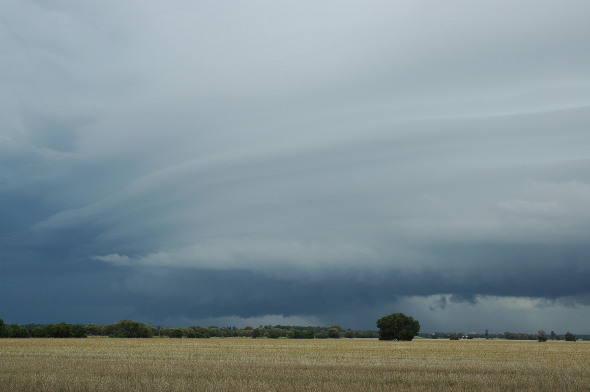 inflowband thunderstorm_inflow_band : N of Narrabri, NSW   27 December 2004