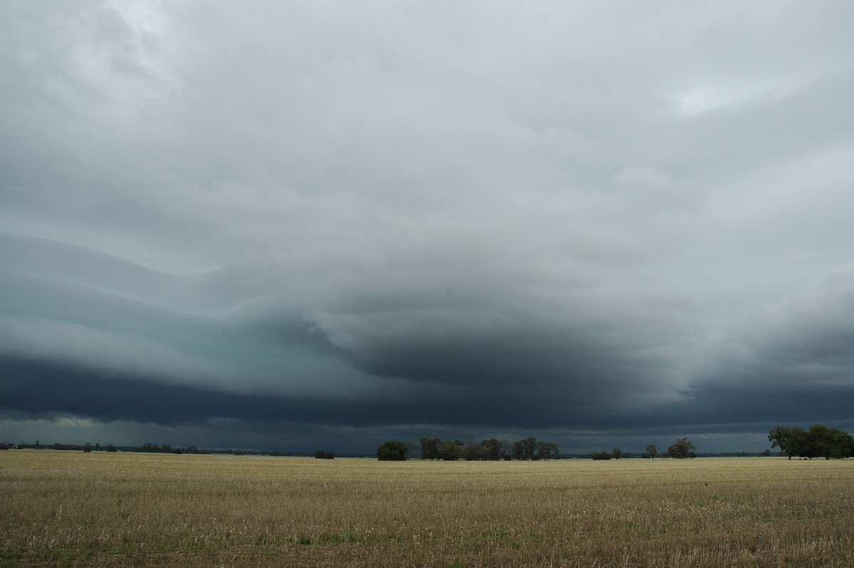 cumulonimbus thunderstorm_base : N of Narrabri, NSW   27 December 2004