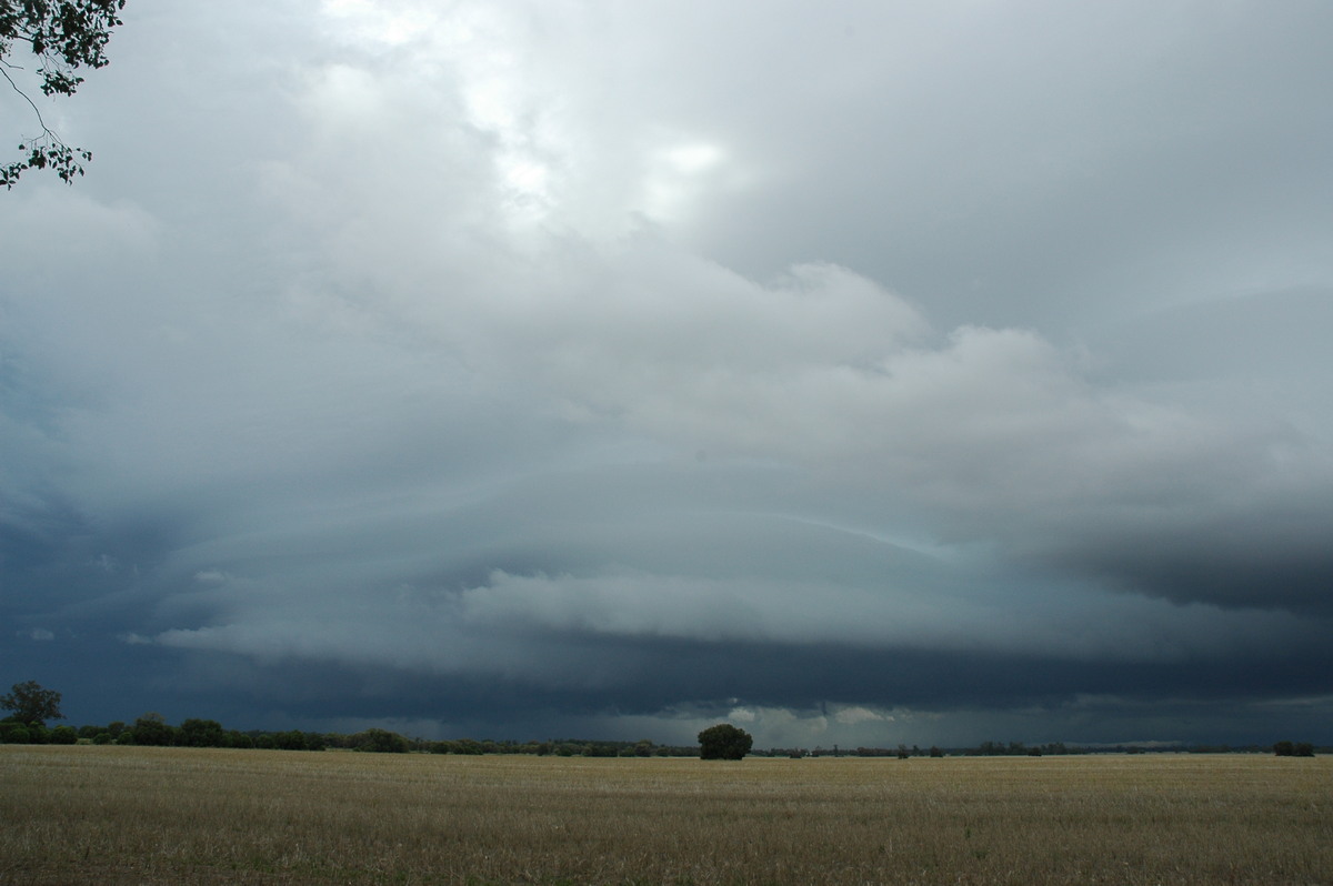 cumulonimbus thunderstorm_base : N of Narrabri, NSW   27 December 2004