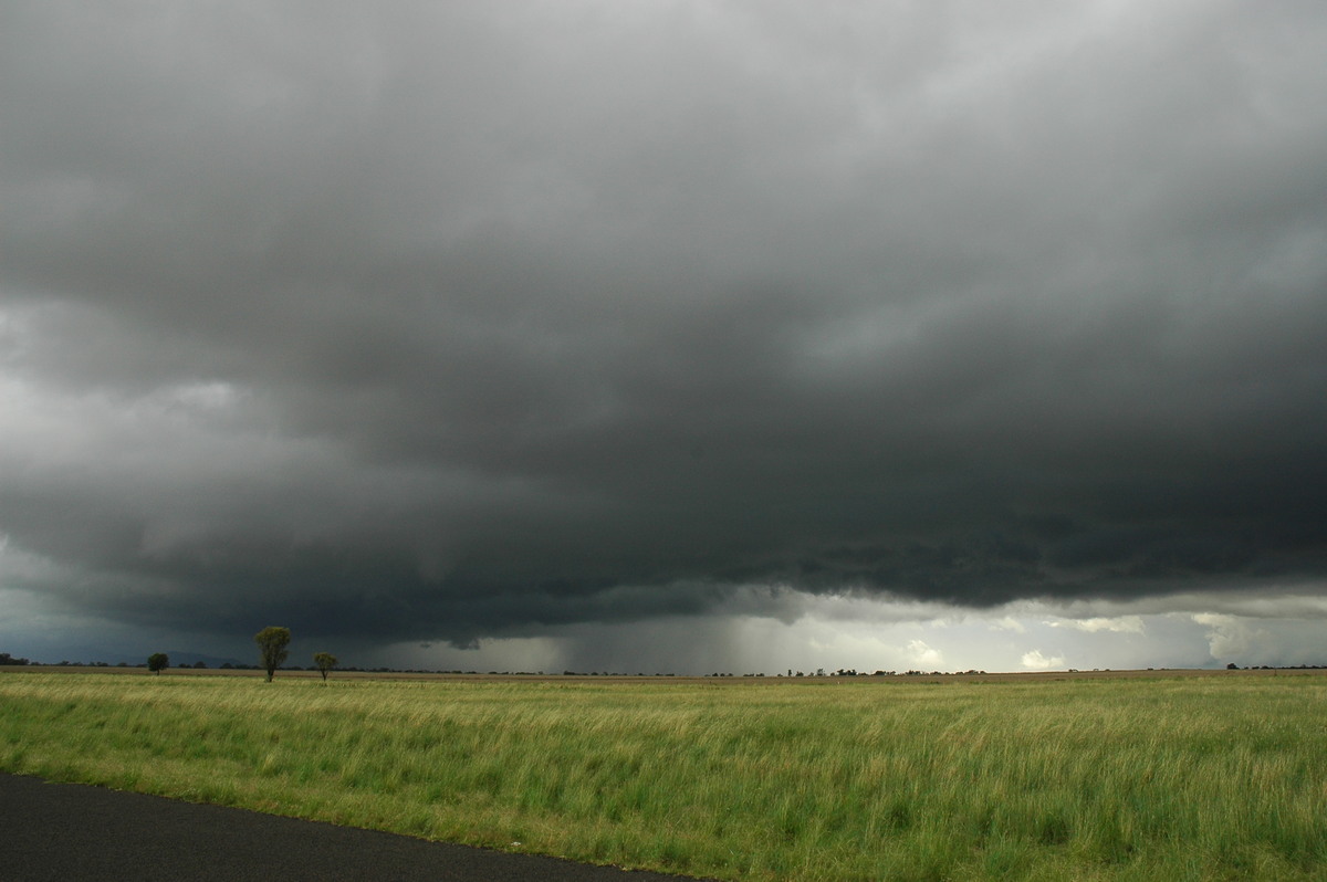 cumulonimbus thunderstorm_base : near Narrabri, NSW   27 December 2004