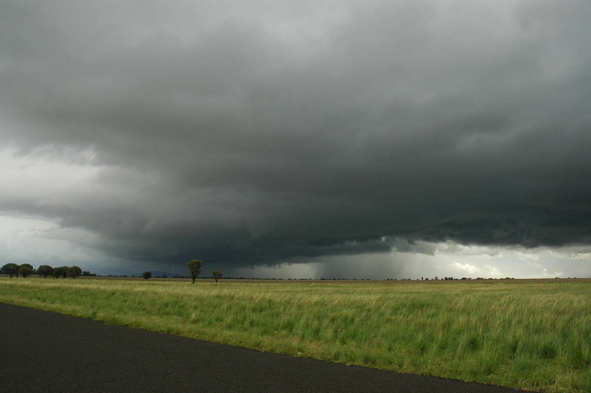 cumulonimbus thunderstorm_base : near Narrabri, NSW   27 December 2004