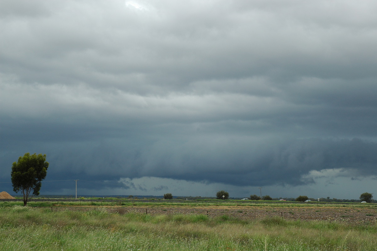 shelfcloud shelf_cloud : S of Moree, NSW   27 December 2004