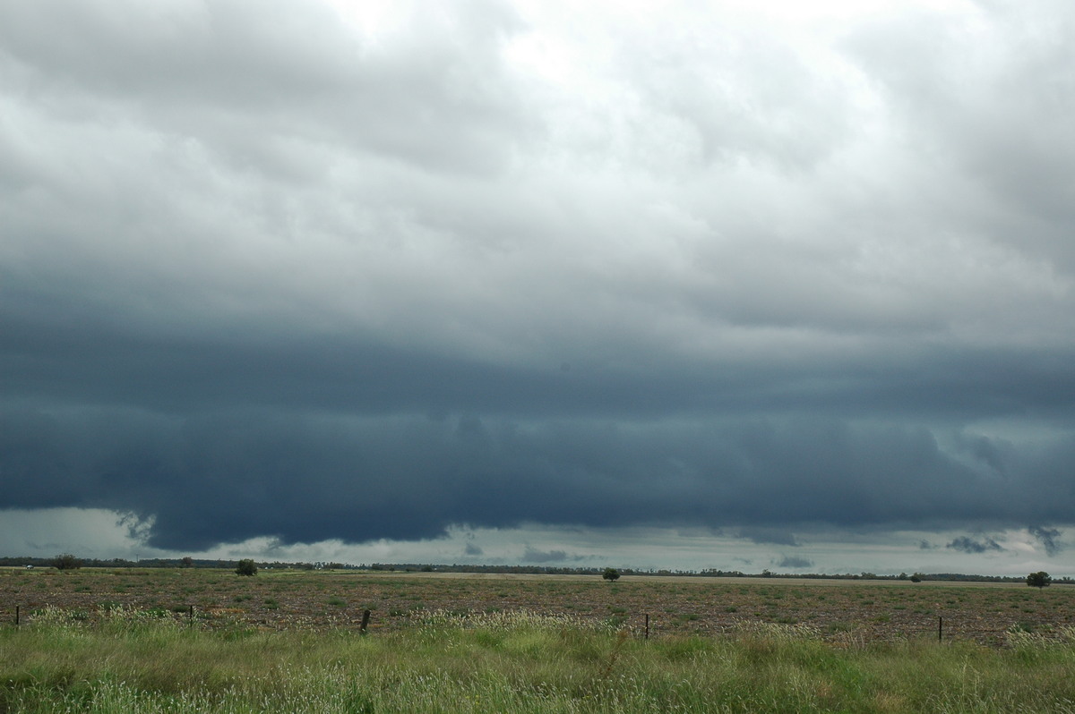 shelfcloud shelf_cloud : S of Moree, NSW   27 December 2004