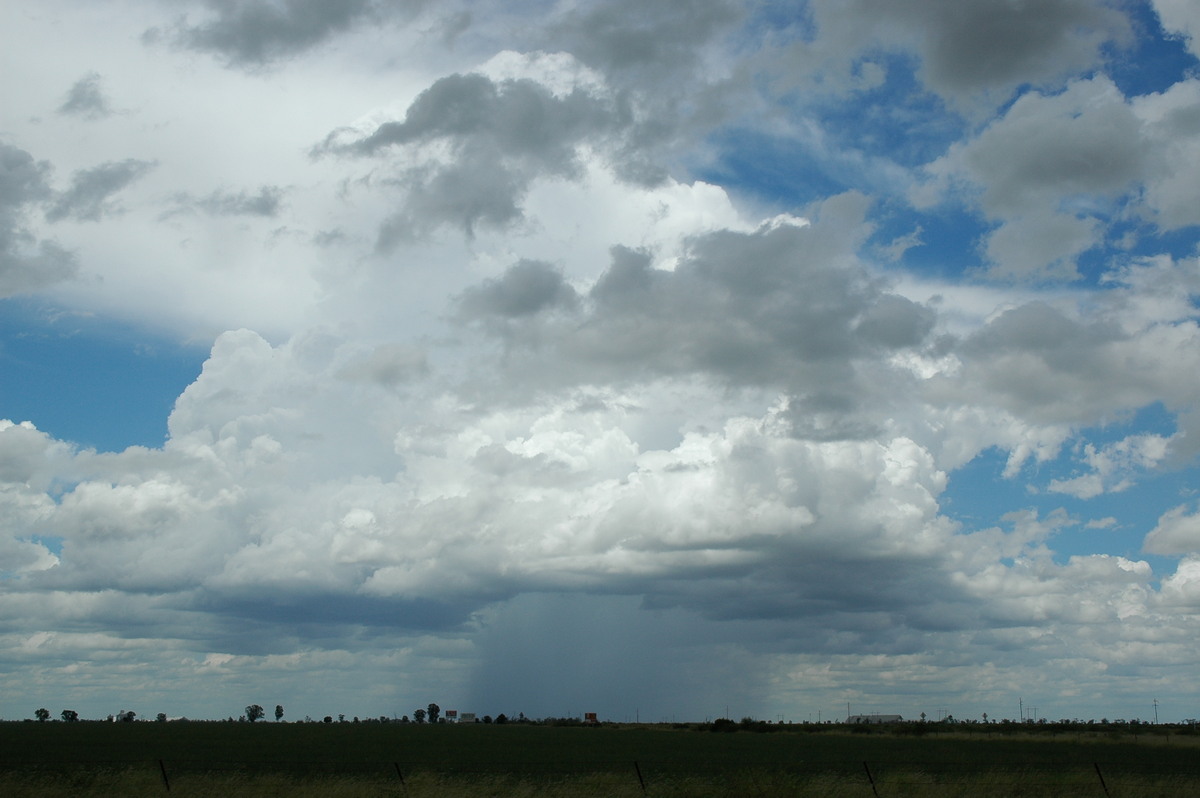 raincascade precipitation_cascade : S of Moree, NSW   27 December 2004