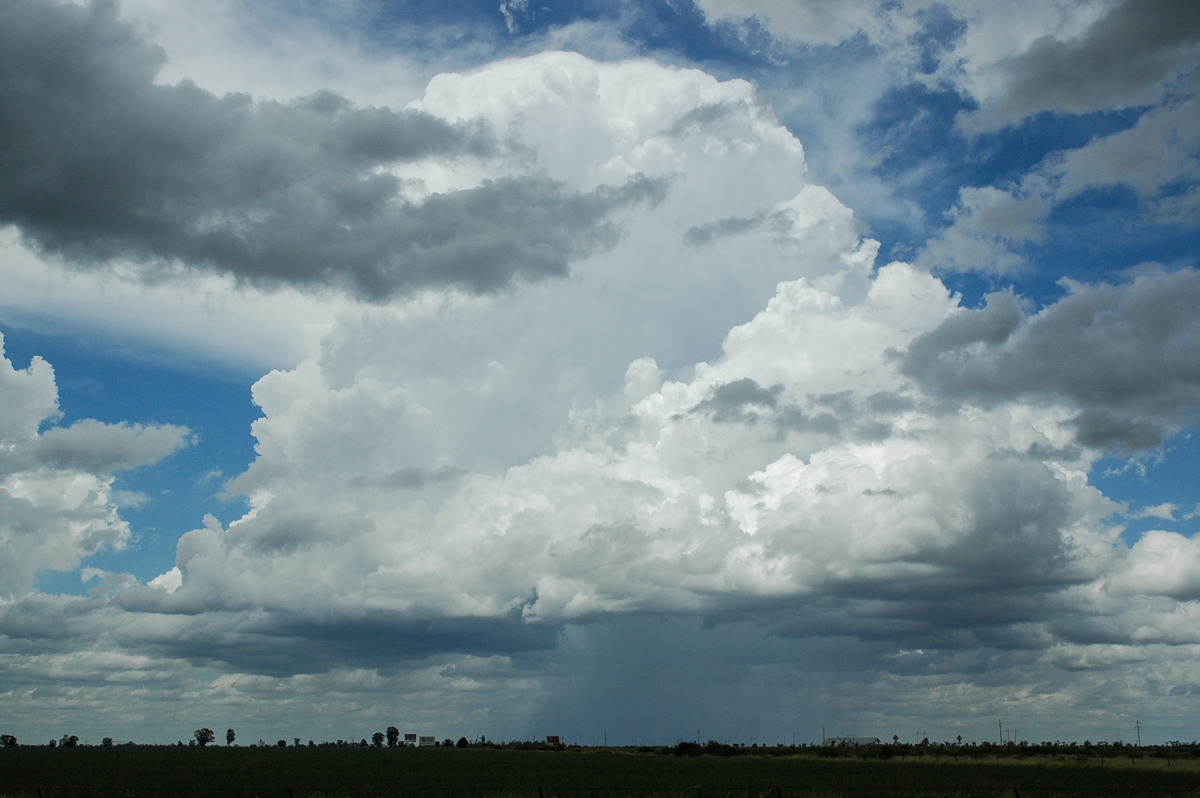 thunderstorm cumulonimbus_calvus : S of Moree, NSW   27 December 2004