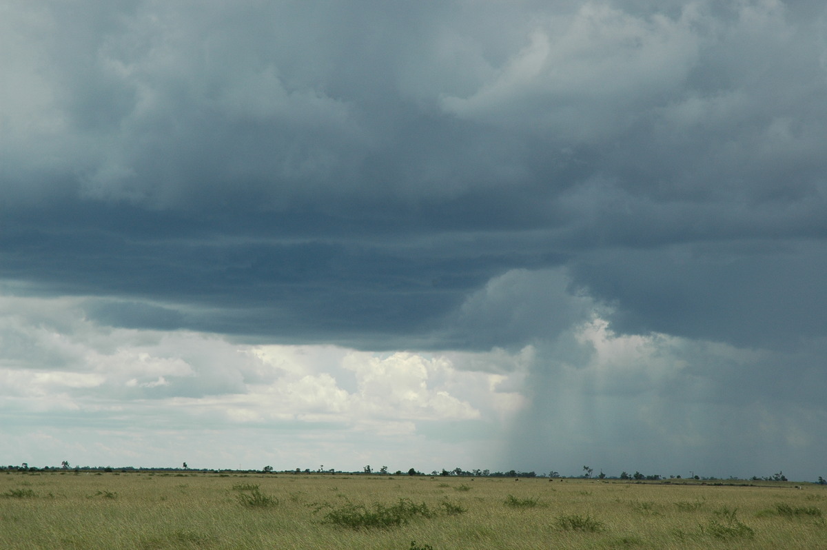 raincascade precipitation_cascade : S of Moree, NSW   27 December 2004