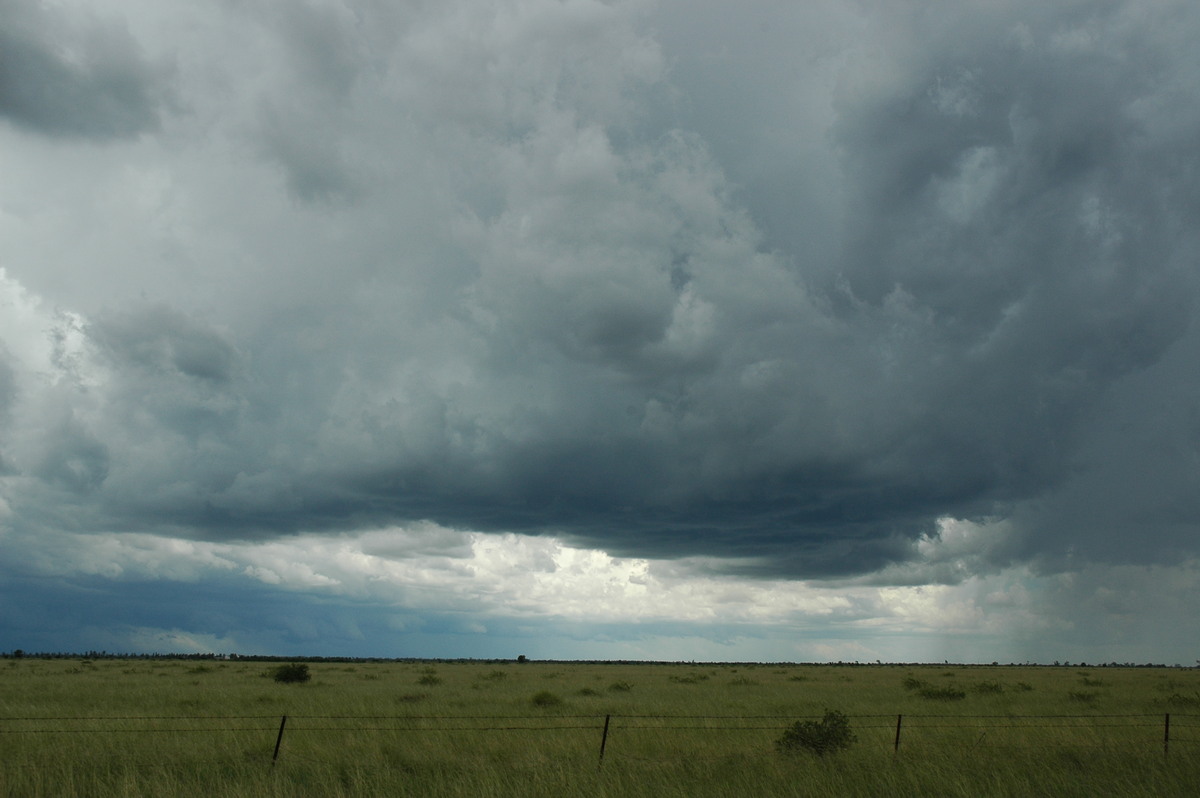 cumulonimbus thunderstorm_base : S of Moree, NSW   27 December 2004