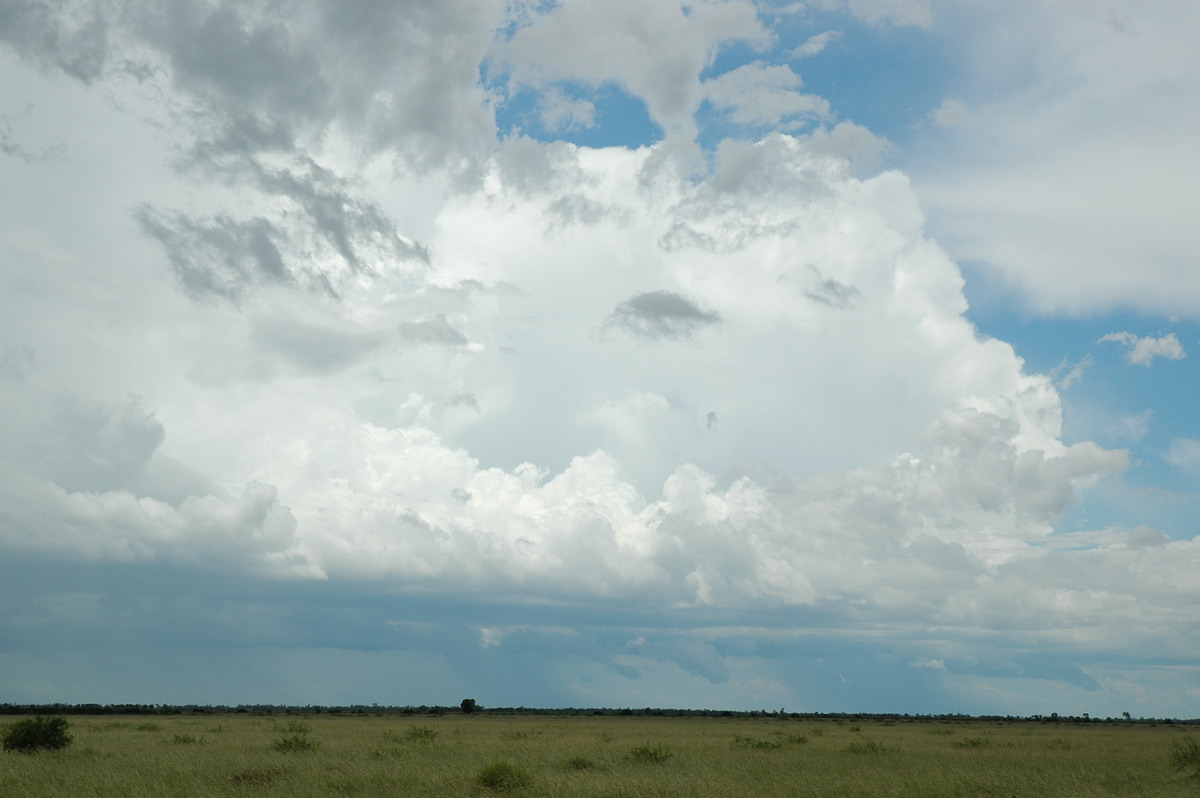 thunderstorm cumulonimbus_incus : S of Moree, NSW   27 December 2004