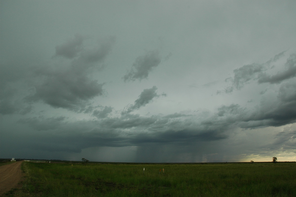 raincascade precipitation_cascade : N of Moree, NSW   27 December 2004