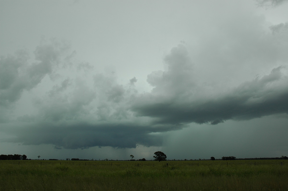 cumulonimbus thunderstorm_base : N of Moree, NSW   27 December 2004