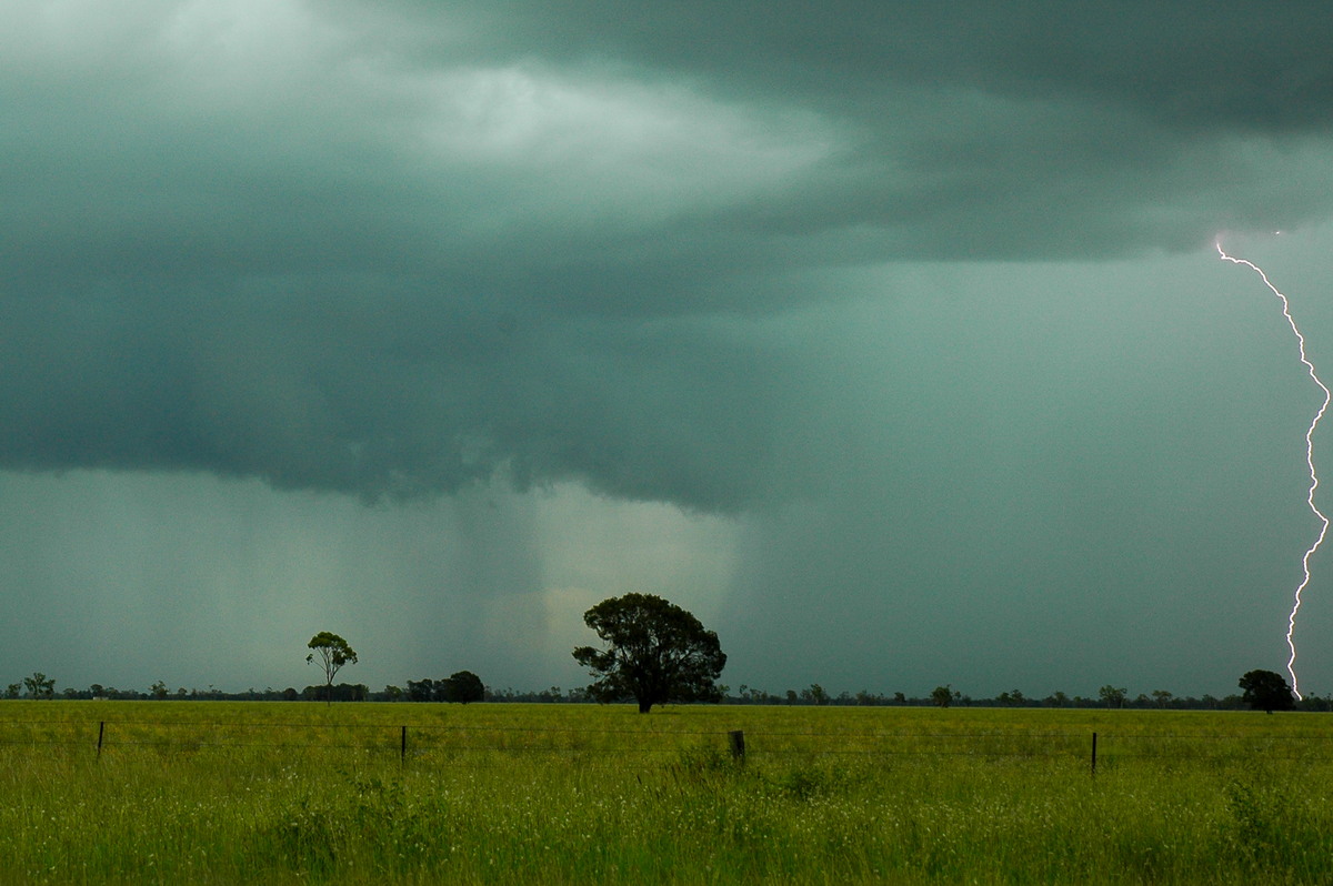 cumulonimbus thunderstorm_base : near Moree, NSW   27 December 2004