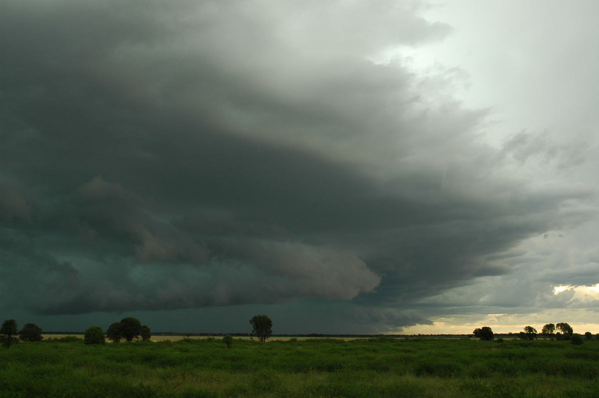 shelfcloud shelf_cloud : N of Moree, NSW   27 December 2004