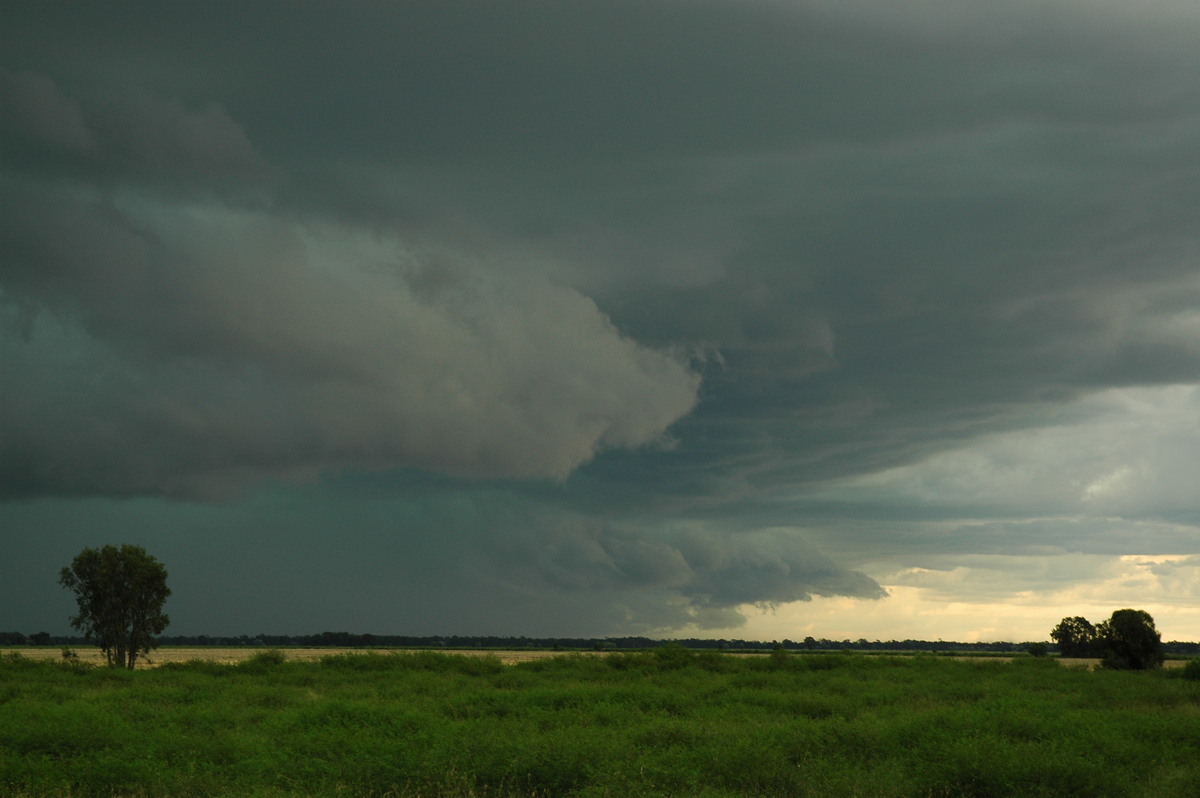 shelfcloud shelf_cloud : N of Moree, NSW   27 December 2004