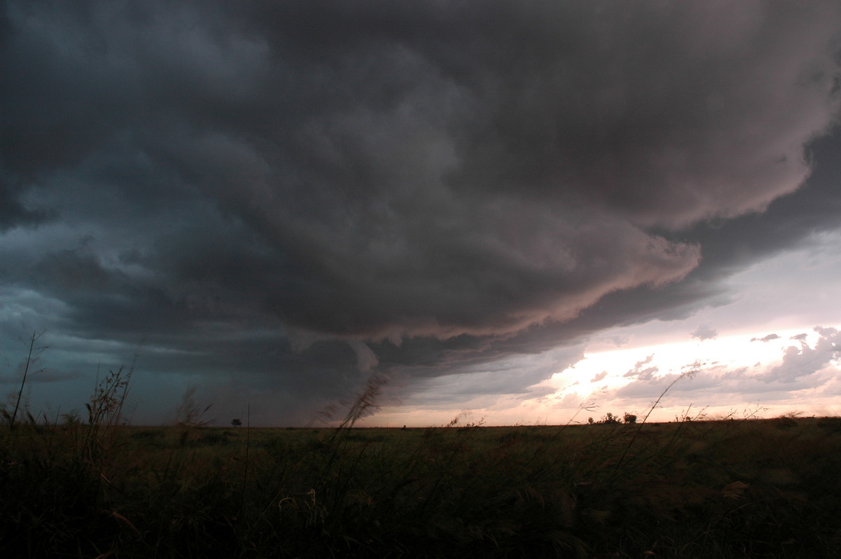 shelfcloud shelf_cloud : N of Moree, NSW   27 December 2004