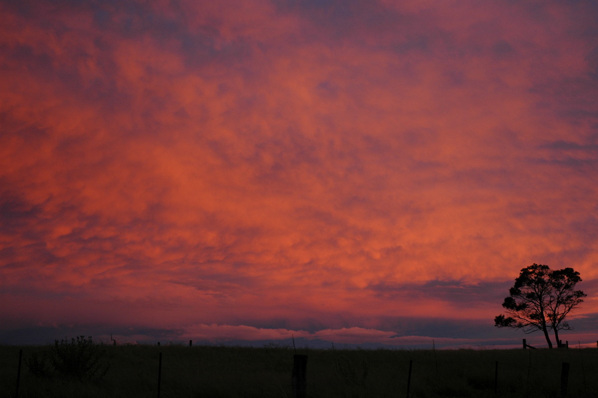 sunset sunset_pictures : Tenterfield, NSW   27 December 2004