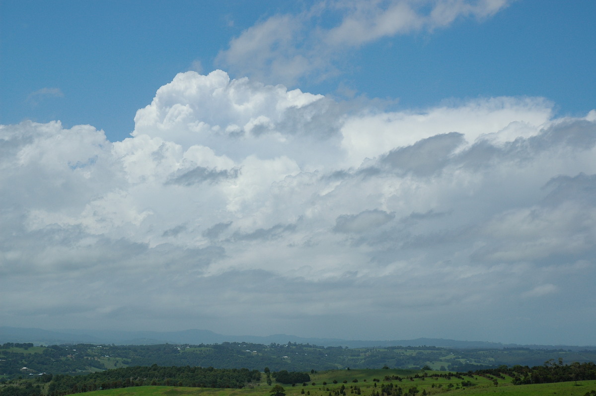 thunderstorm cumulonimbus_calvus : McLeans Ridges, NSW   28 December 2004