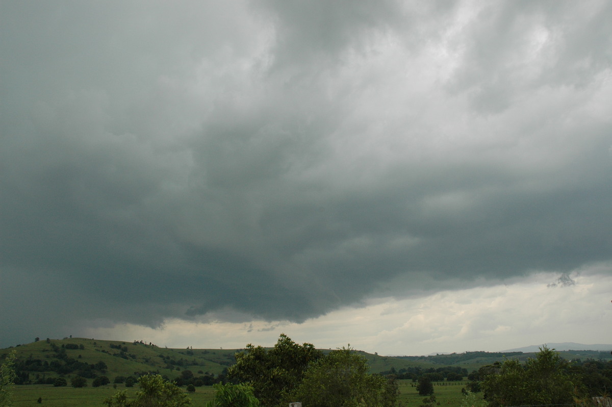 cumulonimbus thunderstorm_base : McLeans Ridges, NSW   5 January 2005