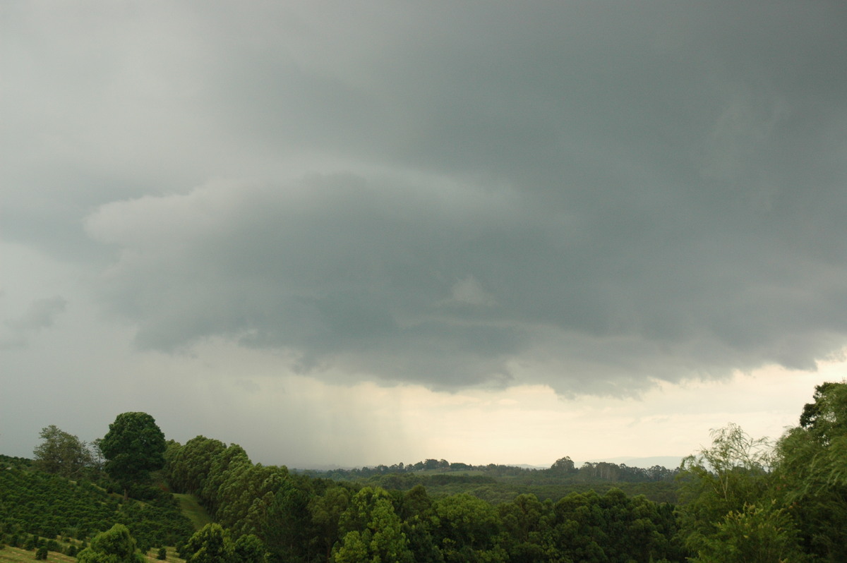 cumulonimbus thunderstorm_base : Clunes, NSW   5 January 2005