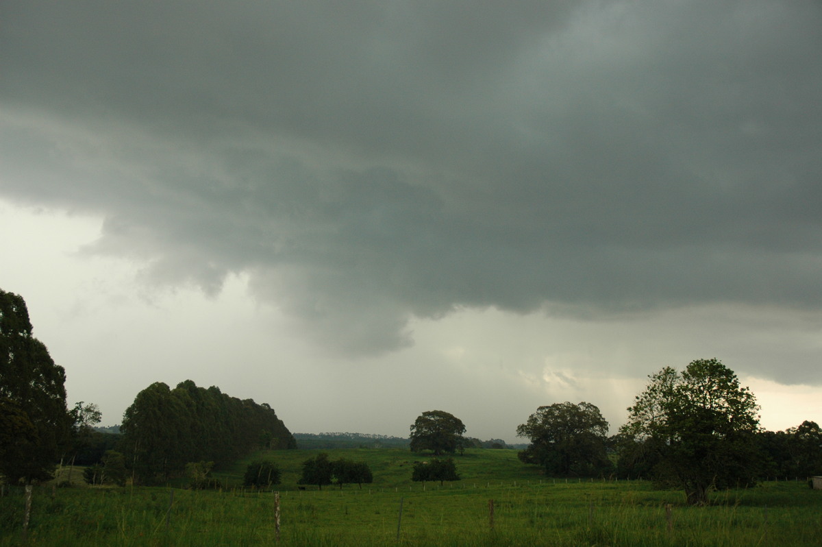 cumulonimbus thunderstorm_base : Clunes, NSW   5 January 2005