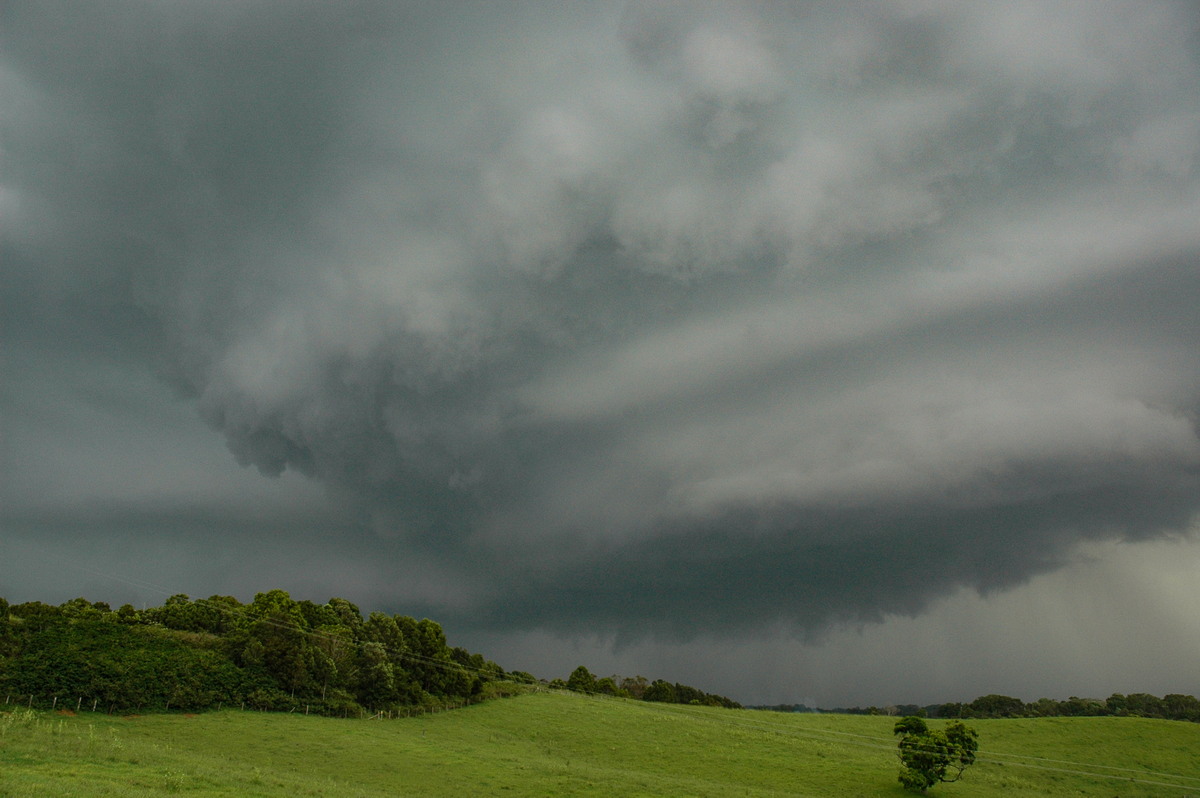 cumulonimbus thunderstorm_base : Saint Helena, NSW   5 January 2005