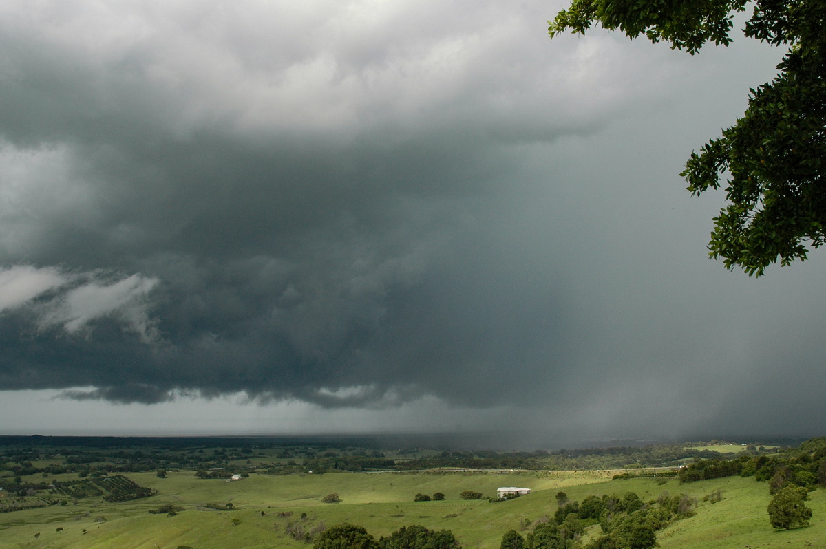 cumulonimbus thunderstorm_base : Saint Helena, NSW   5 January 2005