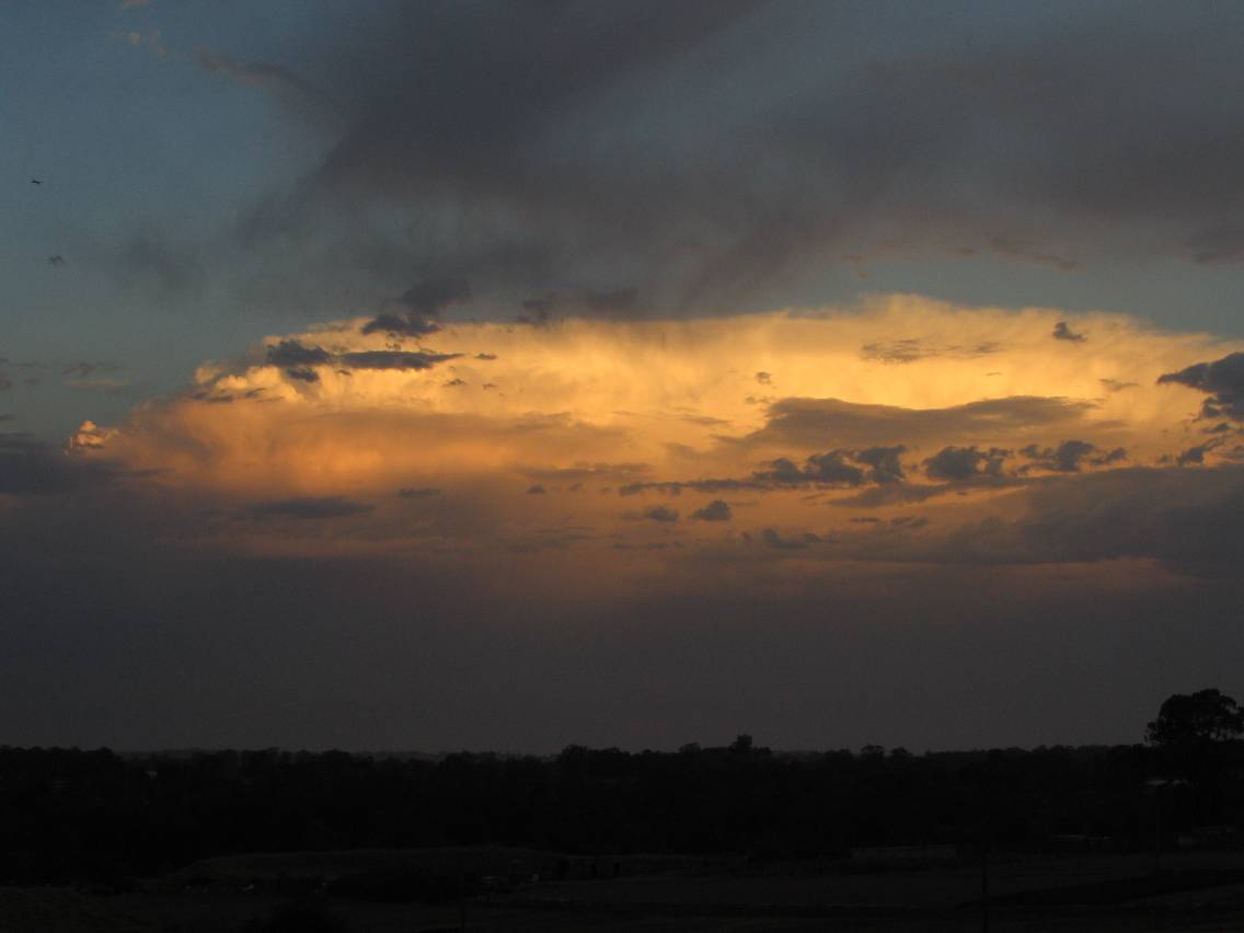 thunderstorm cumulonimbus_incus : Schofields, NSW   14 January 2005