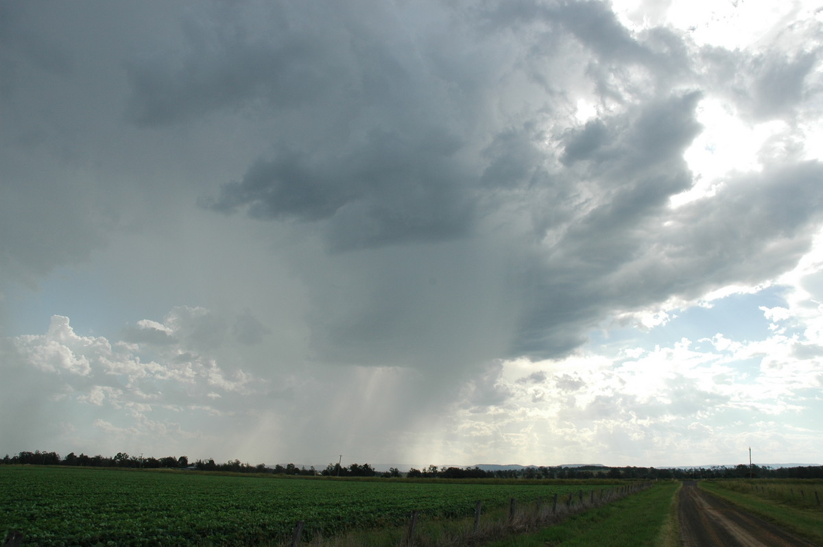 raincascade precipitation_cascade : N of Casino, NSW   21 January 2005