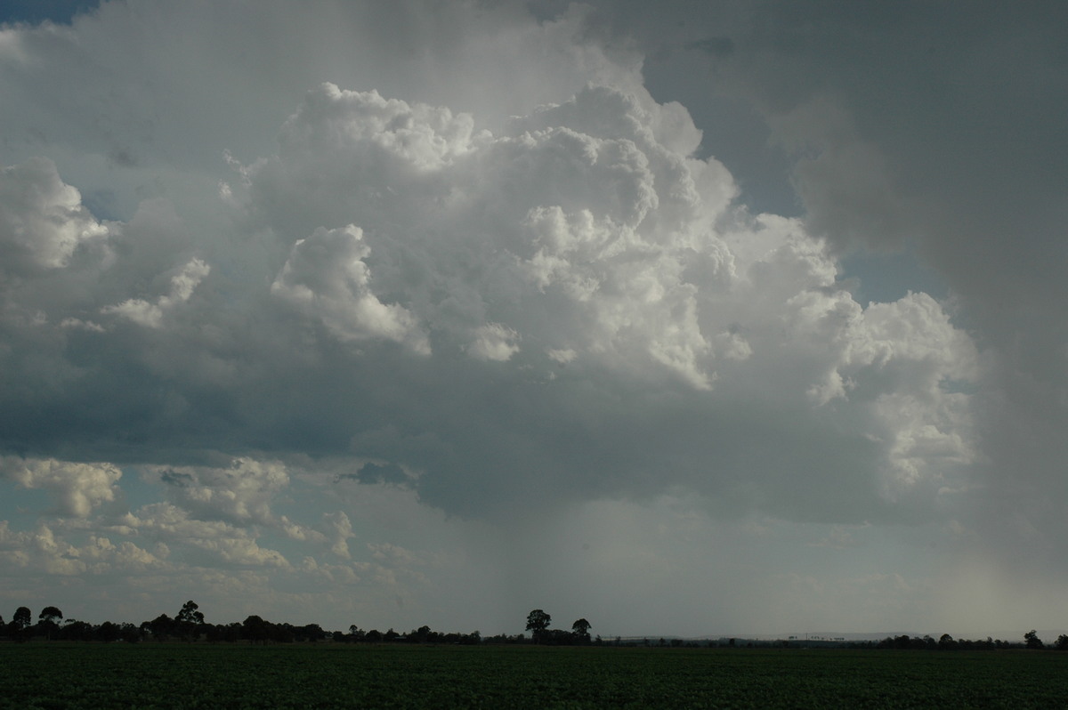 raincascade precipitation_cascade : N of Casino, NSW   21 January 2005