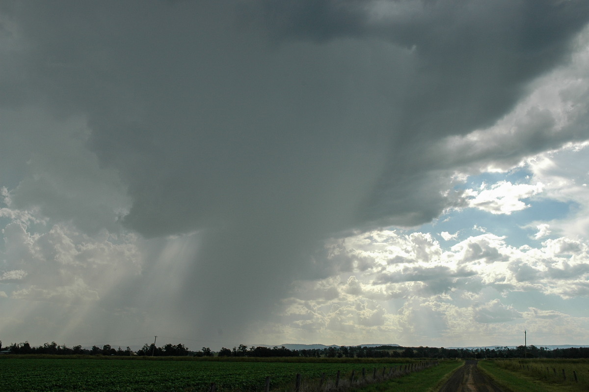 raincascade precipitation_cascade : N of Casino, NSW   21 January 2005