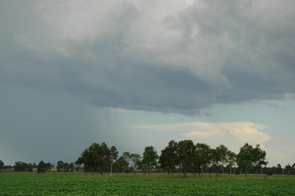 raincascade precipitation_cascade : N of Casino, NSW   21 January 2005