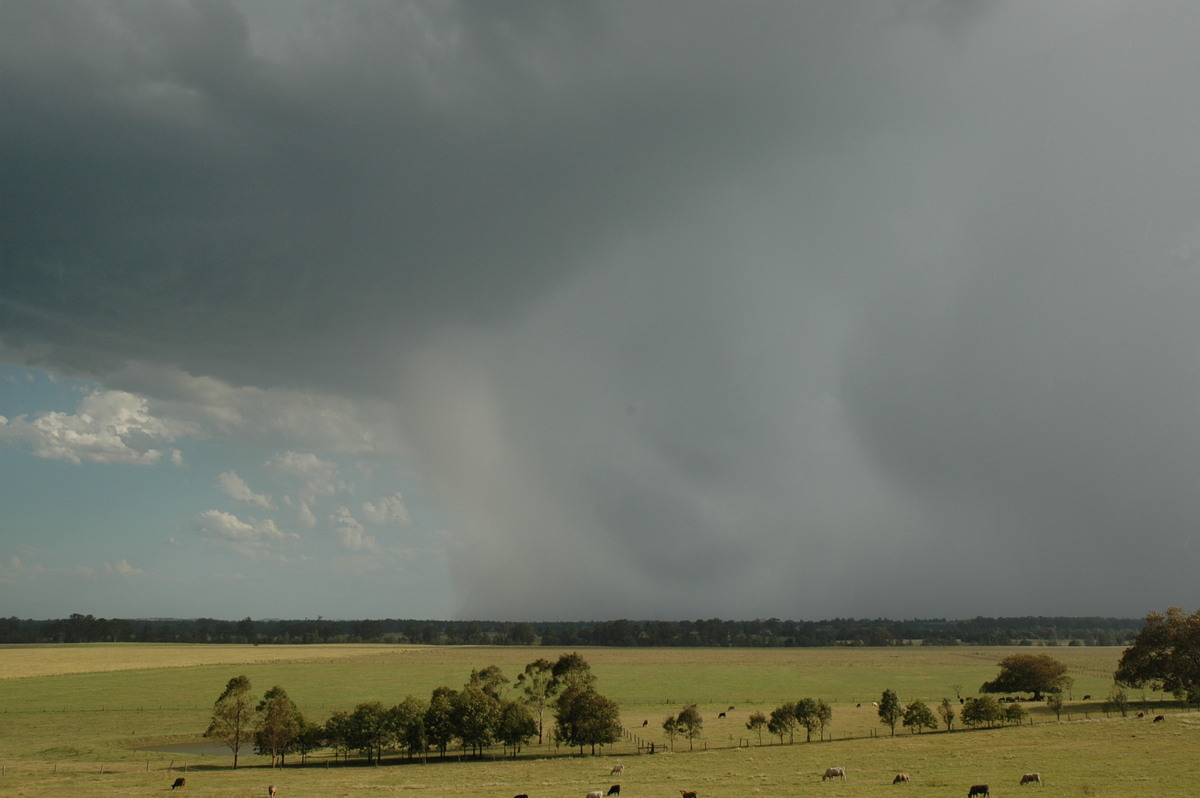 microburst micro_burst : Casino, NSW   21 January 2005