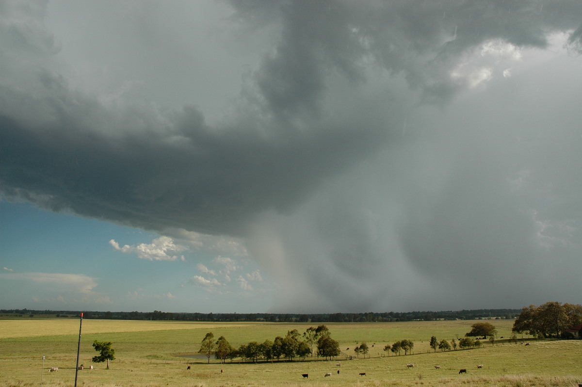 raincascade precipitation_cascade : Casino, NSW   21 January 2005