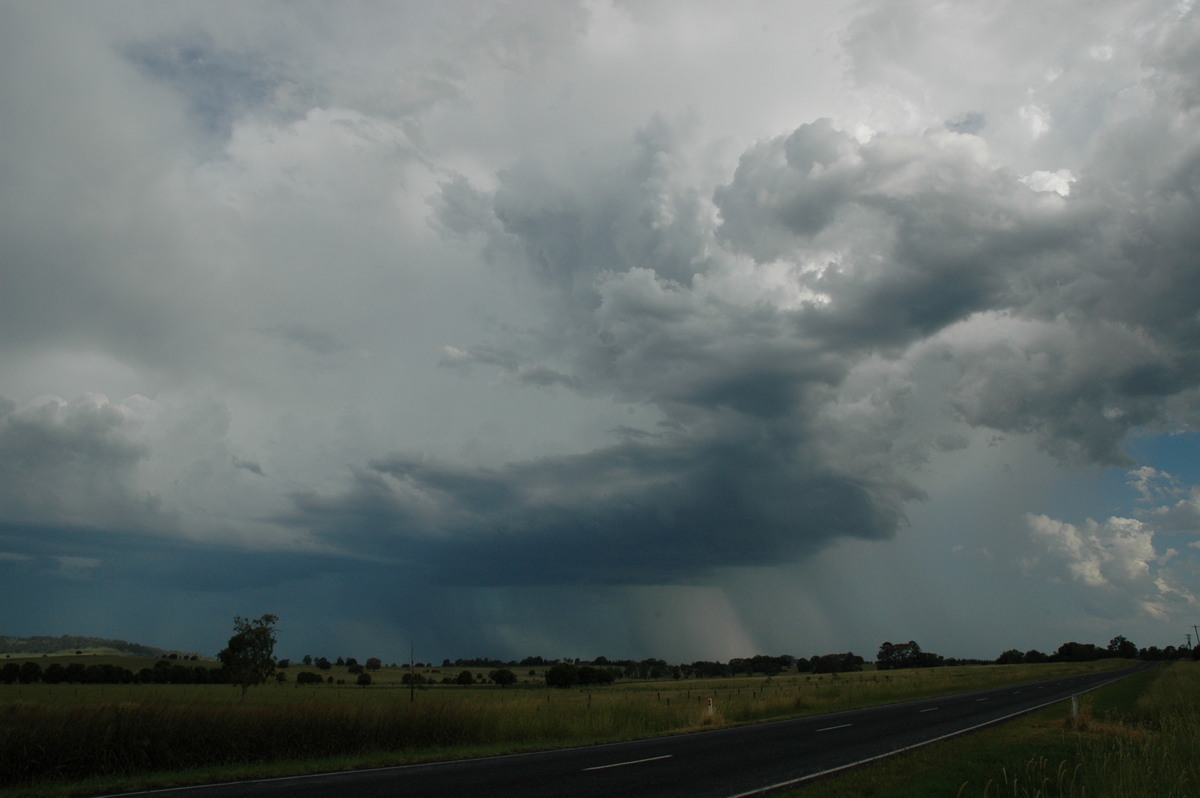 raincascade precipitation_cascade : N of Casino, NSW   21 January 2005