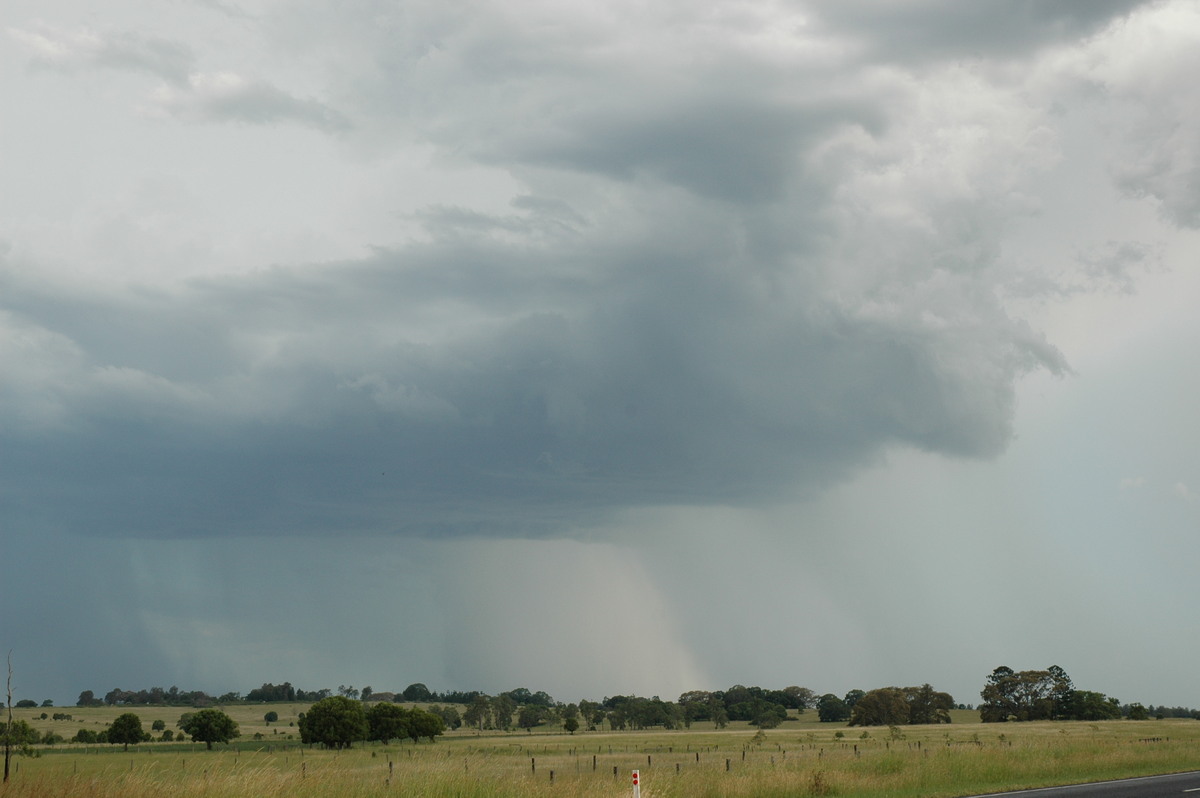 raincascade precipitation_cascade : N of Casino, NSW   21 January 2005