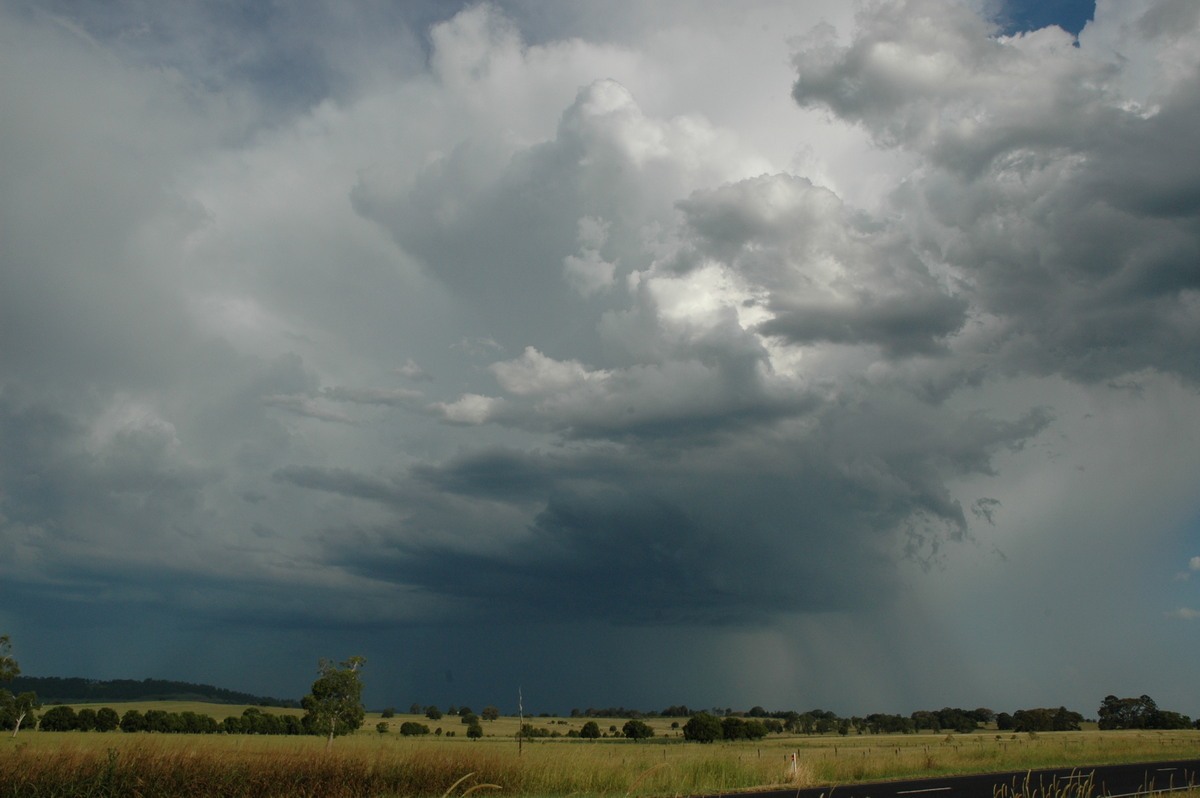 thunderstorm cumulonimbus_incus : N of Casino, NSW   21 January 2005