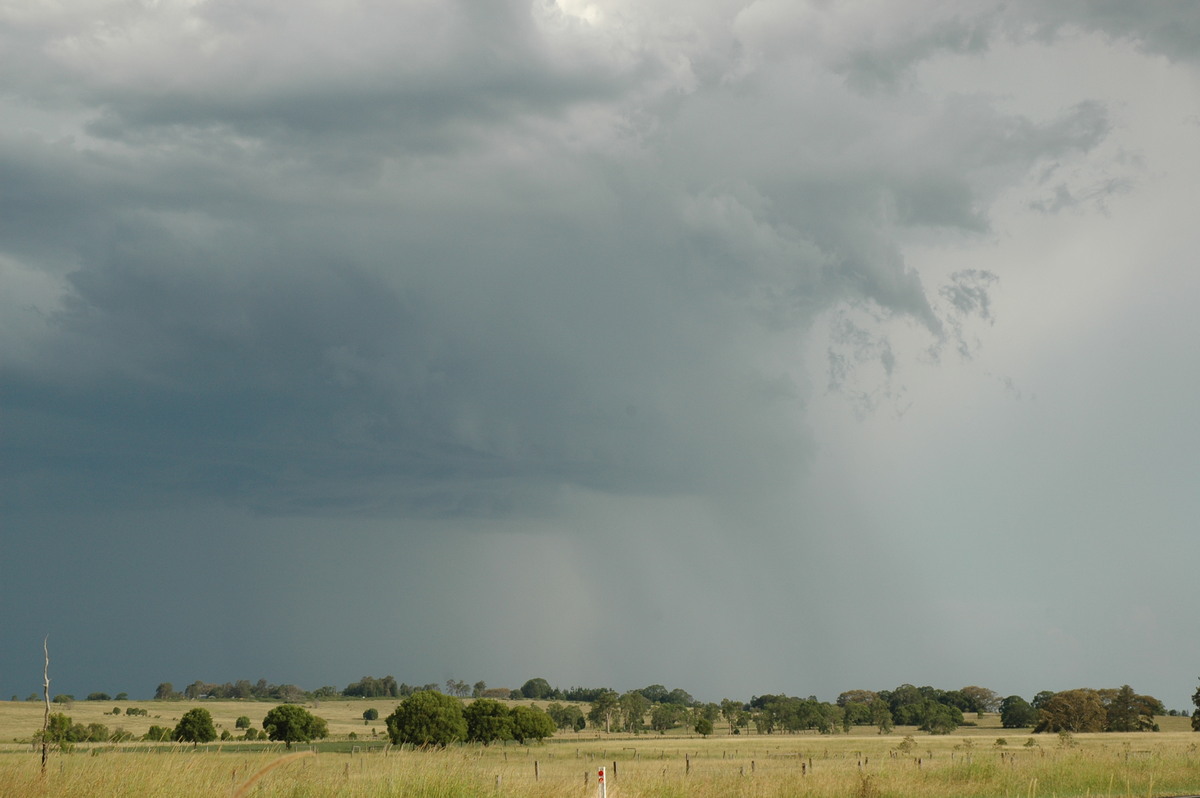 raincascade precipitation_cascade : N of Casino, NSW   21 January 2005