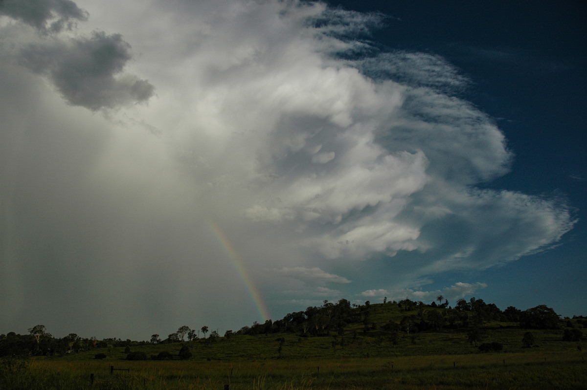 mammatus mammatus_cloud : Lismore, NSW   21 January 2005