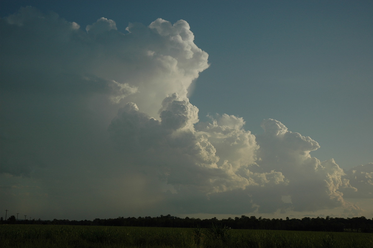 thunderstorm cumulonimbus_calvus : S of Lismore, NSW   21 January 2005