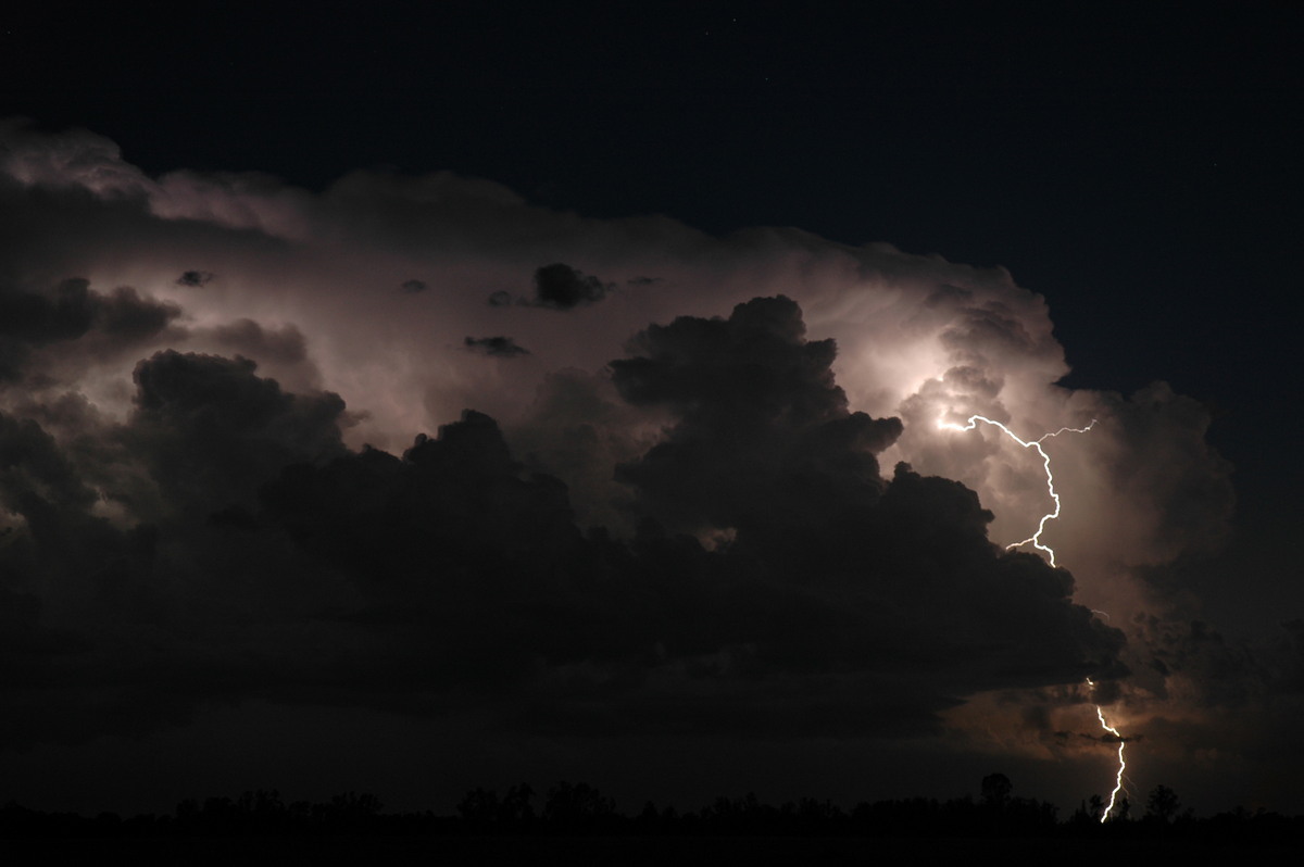 thunderstorm cumulonimbus_incus : Coraki, NSW   21 January 2005