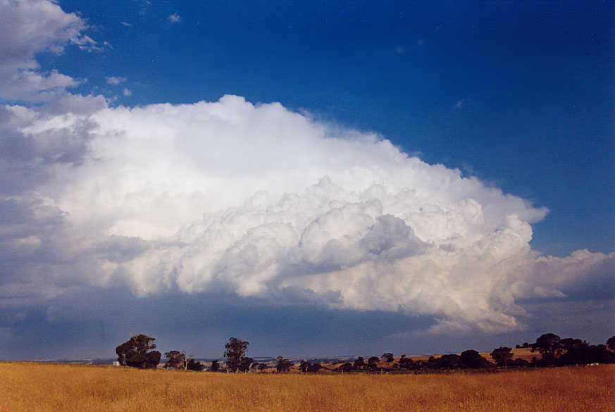 thunderstorm cumulonimbus_incus : Crookwell, NSW   22 January 2005