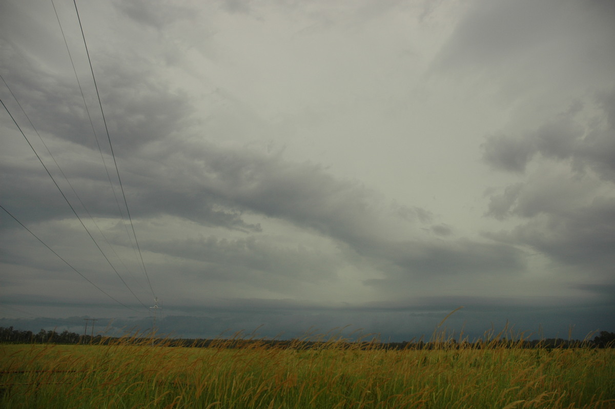 shelfcloud shelf_cloud : Rappville, NSW   22 January 2005