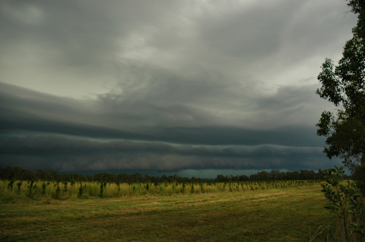 shelfcloud shelf_cloud : Rappville, NSW   22 January 2005